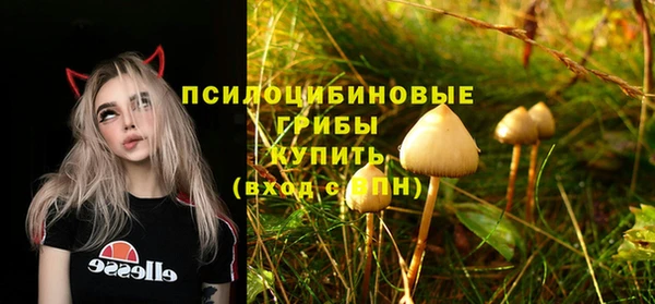 mdpv Алексин