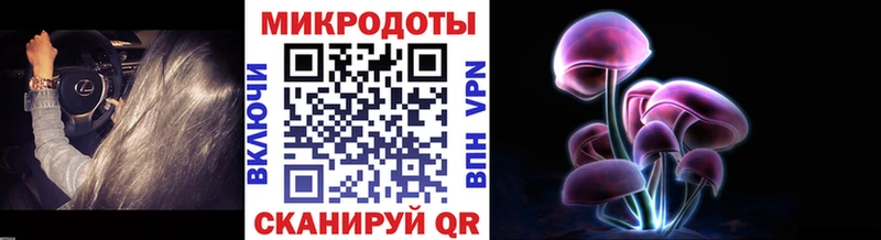 MEGA ONION Алексеевка Псилоцибиновые грибы мухоморы хочу